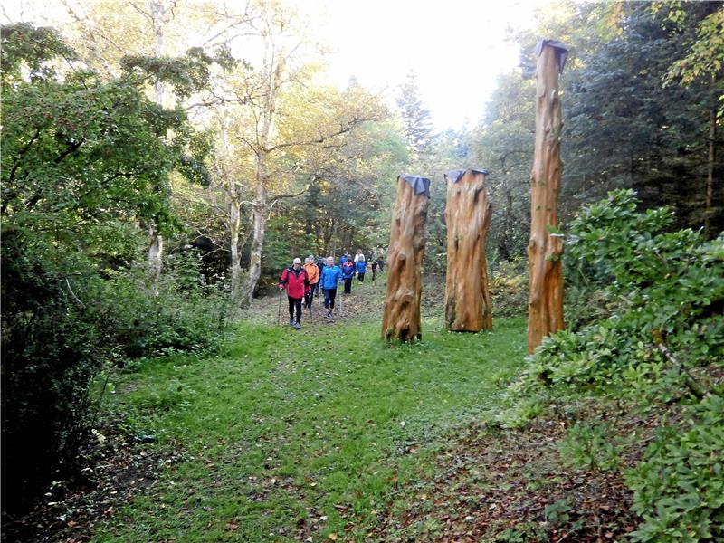 „Nordic aktiv Cup“ im Oberharz ist ein Erfolg Der dreigeteilte Urwelt-Mammutbaum dient im Rhododendronweg als hölzerner Wegweiser.