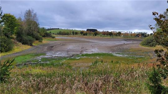 Der einst so imposante Stadtweger Teich ist vorübergehend trockengelegt.