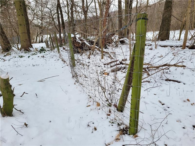 Der etwa hüfthohe Zaun, der den Wildgehege-Weg vom Golfplatz abtrennt, ist in die Jahre gekommen. Er soll deshalb ausgetauscht werden.  Foto: Exner