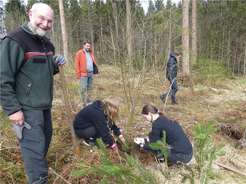 Der frühere Leiter des Forstamtes Bad Lauterberg, Dr. Hubertus Köhler (li.), ist als Lions-Mitglied zur Pflanzaktion gekommen. Schulleiter Gunnar Demuth (2.v. li.) beobachtet aufmerksam, wie Mia und Ramona eine Douglasie in die Erde setzen. Foto: Römhild