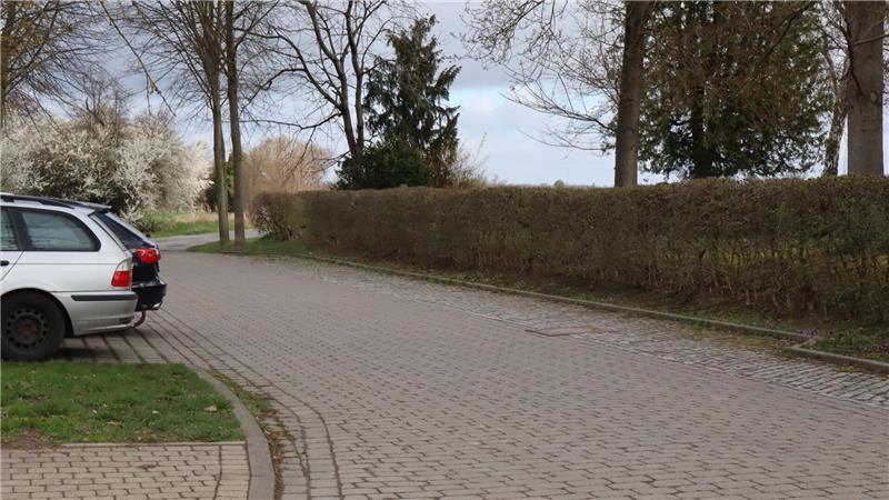 Parkende Autos an einer Hecke.