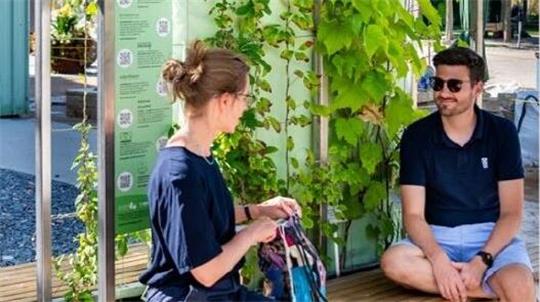 Der geplante Kauf von drei begrünten Bänken für je 20.000 Euro hat im Bauausschuss zu Diskussionen geführt.