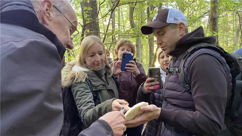 Der größte Fund der Bestimmungstour ist ein Parasol.