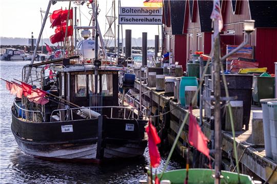 Der hölzerne Fischkutter TAR006 liegt im kleinen Fischerhafen in Tarnewitz. Für Mitte Oktober erwarten die Fischer die neuen Festlegungen für die Fischfangmengen in der Ostsee durch die EU.