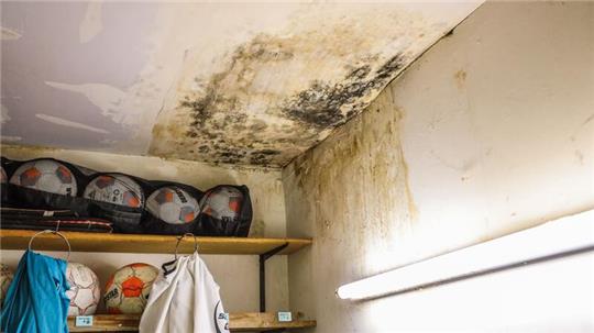 Bälle und Materialien lagern unter einer verschimmelten Decke.