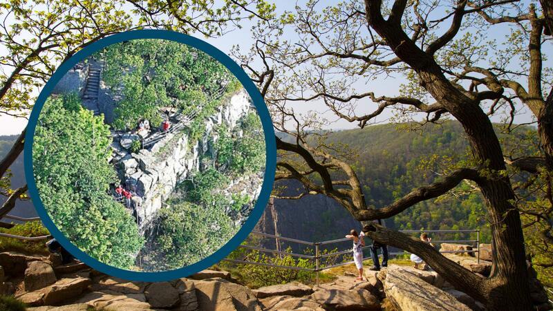 Bei Fotoaufnahme: Junge (17) stürzt von Hexentanzplatz in den Tod Der junge Erwachsene stieg über ein Gelände am Hexentanzplatz und starb.