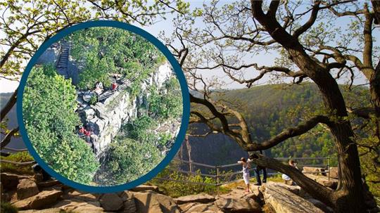 Der junge Erwachsene stieg über ein Gelände am Hexentanzplatz und starb.