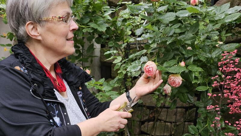 Mutterhaus Bad Harzburg: Barbara Nuß macht Schluss Der kleine Garten am Wohnhaus ist ihr Refugium. Dem wird sich Barbara Nuß im Ruhestand verstärkt widmen.