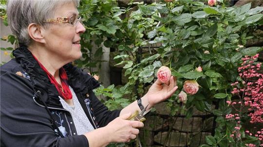Der kleine Garten am Wohnhaus ist ihr Refugium. Dem wird sich Barbara Nuß im Ruhestand verstärkt widmen.