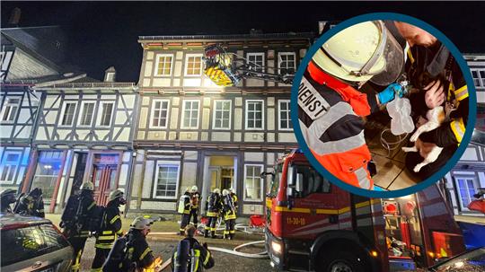 Der kleine Vierbeiner wurde in der Nacht vom Rettungsdienst versorgt. Foto: Feuerwehr Goslar