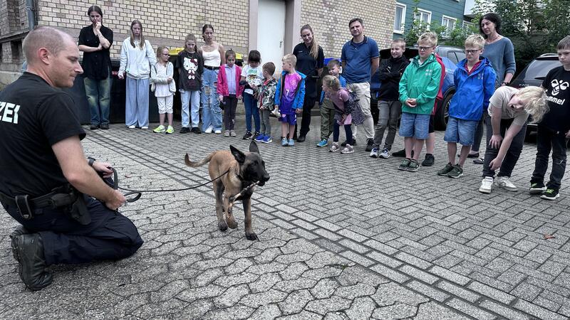Der kleine Watson (15 Wochen) kommt mit seinem Herrchen Jan zu Besuch und ist mindestens genauso aufgeregt wie die Ferienpasskinder.