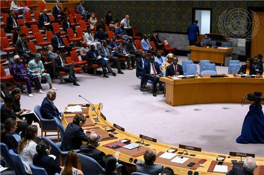 Der malische Außenminister Abdoulaye Diop (2.v.r.) spricht vor dem UN-Sicherheitsrat in New York.