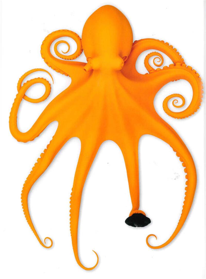 Die Kunst von Katharina Fritsch Der orangefarbene Oktopus (2006) ist bei aller ornamentalen Schönheit in der Ansicht von oben durch seine alles verschlingenden Tentakeln auch eine bedrohliche Erscheinung.