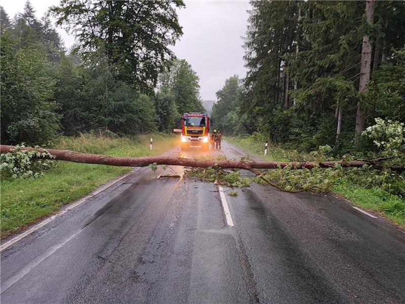 Der riesige Baumstamm versperrte die Zufahrt zum Asklepios Klinikum in Seesen. Foto: Privat
