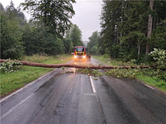 Der riesige Baumstamm versperrte die Zufahrt zum Asklepios Klinikum in Seesen. Foto: Privat