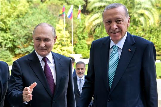 Der russische Präsident Wladimir Putin (l) begrüßt seinen türkischen Amtskollegen Recep Tayyip Erdogan bei seiner Ankunft.