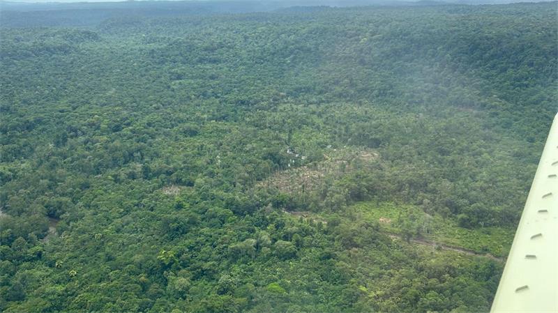 Mit Hilfsflügen über den Dschungel ins Erdbebengebiet Der sattgrüne Regenwald.