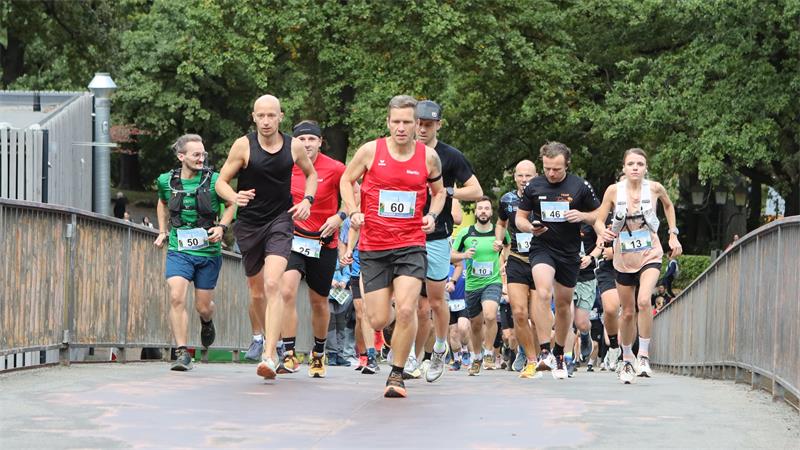 Gruppe von Läufern in Sportkleidung läuft auf einer Brücke mit Bäumen im Hintergrund.