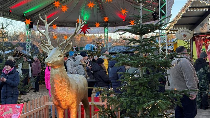 Der überdachte Wintermarkt auf der Neuen Mitte in Braunlage ist als Gemeinschaftsaktion vieler Akteure ein voller Erfolg. 