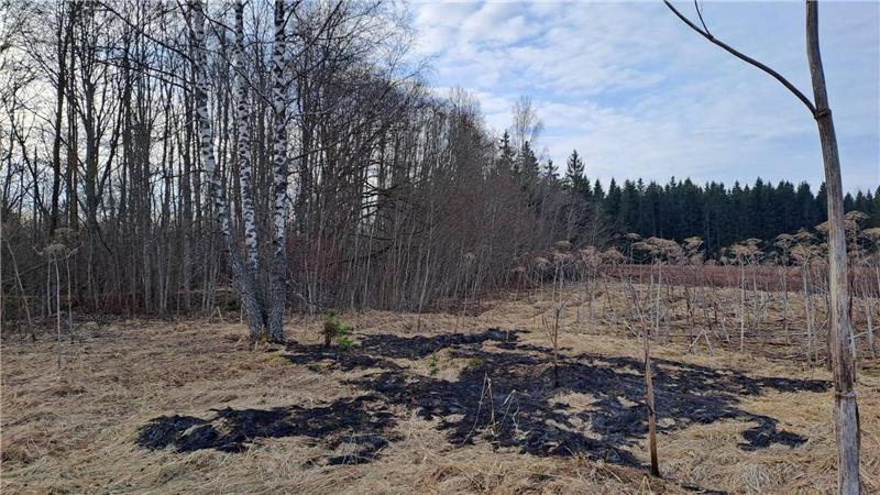 Schwerste Drohnenangriffe des Krieges - Brände in Russland Der ukrainische Abwehrkampf gegen Russland zieht die baltischen Staaten in Mitleidenschaft.