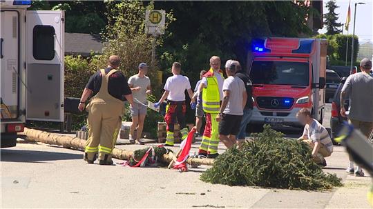 Der umgestürzte Maibaum liegt auf der Straße vor einem Einsatzwagen der Feuerwehr. 