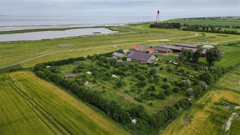 Der verlassene Campingplatz Dyksterhus in Ostfriesland wurde versteigert. (Archivbild)