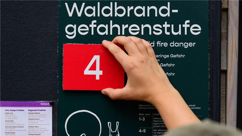 Schon wieder Waldbrandgefahr in Niedersachsen Der vielen Regentage im Juli haben die Waldböden dringend gebraucht - aber es war noch nicht genug. (Archivbild)