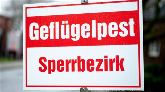 Der von der Geflügelpest betroffene Betrieb liegt in der Gemeinde Prinzhöfte. (Symbolbild)