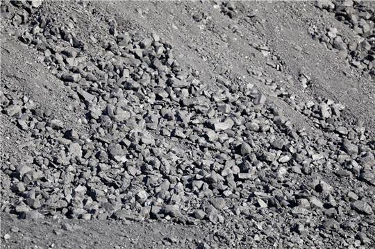 Der weltweite Kohleverbrauch wird der Internationalen Energieagentur IEA zufolge in diesem Jahr wohl so hoch liegen wie noch nie.