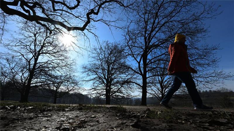 Der Winter war mild, trocken und sonnig Der zu Ende gehende Winter war laut Deutschem Wetterdienst mild und trocken. (Archivbild)