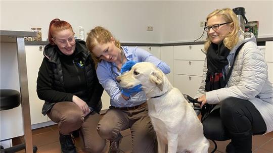 Der zweijährige Samu ist der erste Patient in der neu eröffneten Tierarztpraxis von Johanna Geng an der Goslarschen Straße.