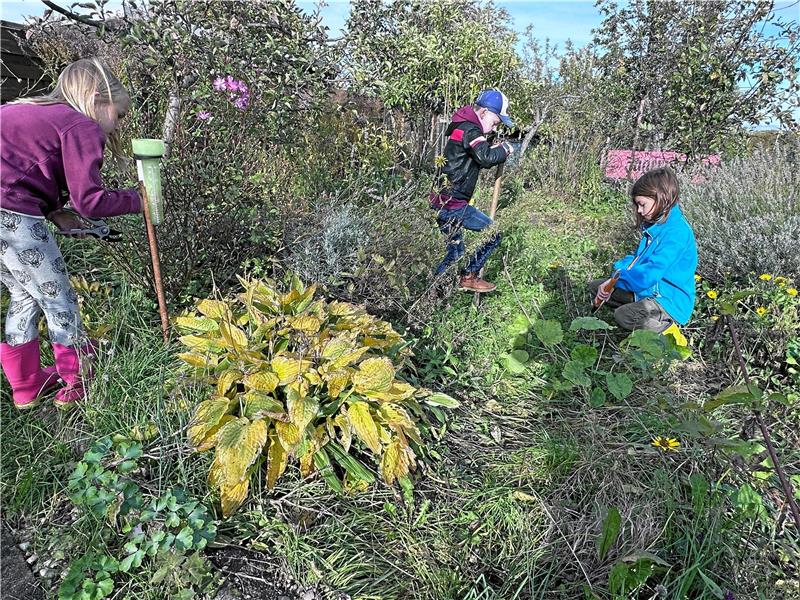 Der zweite Garten, den die Jugendförderung gepachtet hat, ist in einem sehr desolaten Zustand. Hier wollen die Kinder erst nach und nach klar Schiff machen. Foto: Schlegel