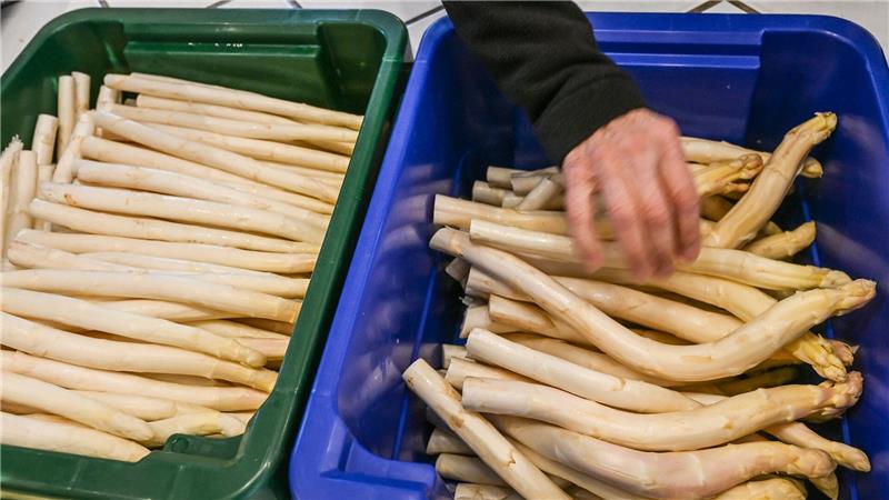 Derzeit bekommen Verbraucher Spargel so günstig wie sonst nicht in der Saison. (Archivbild)
