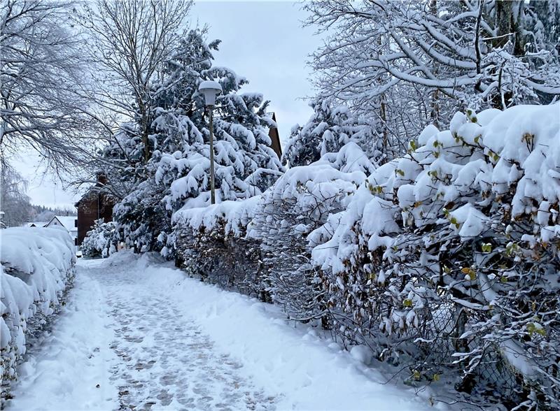 Hahnenklee-Tourismus: Zwei Häuser und ein Glaubenskrieg Derzeit tief verschneit mit hoher Hecke: Das Bild zeigt den Oberförster-Hermann-Müller-Weg. Foto: Privat
