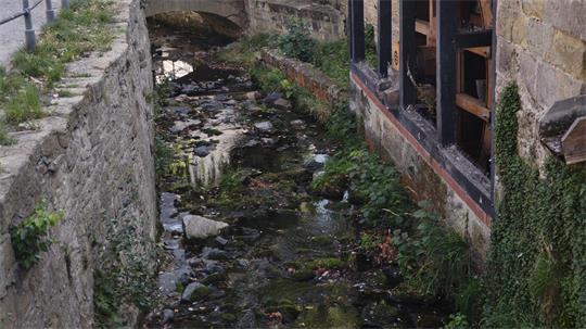Is the Abzucht River running out of water? Goslar sees it as a natural ...