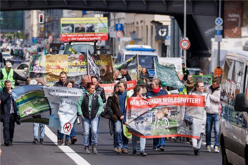 Bauernverband fordert Abschuss von „Problemwölfen” Deutsche Weidetierhalter protestieren gegen den Umgang mit Wölfen in der Viehwirtschaft in Deutschland.