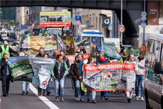 Deutsche Weidetierhalter protestieren gegen den Umgang mit Wölfen in der Viehwirtschaft in Deutschland.