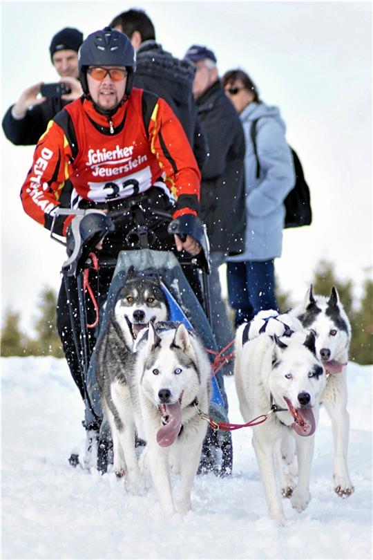 Deutsche und internationale Musher treten wieder gegeneinander an. Foto: Süss