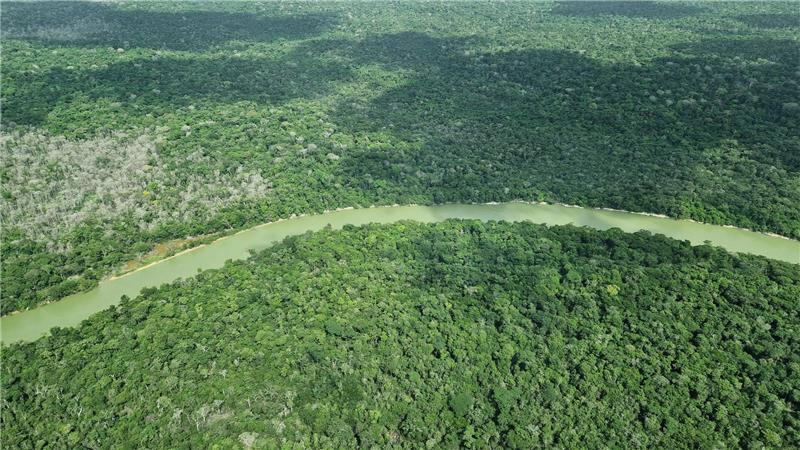 Deutschland gibt viel Geld für einen neuen Tropenwaldfonds.