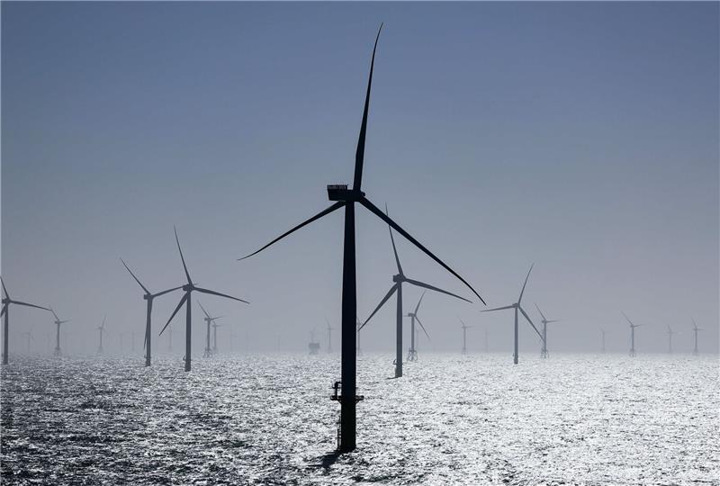 Was der Ausbau der Offshore-Windparks für Zugvögel bedeutet Deutschland und weitere Länder wollen die Nordsee durch den Bau von Windparks zum grünen Kraftwerk Europas machen.