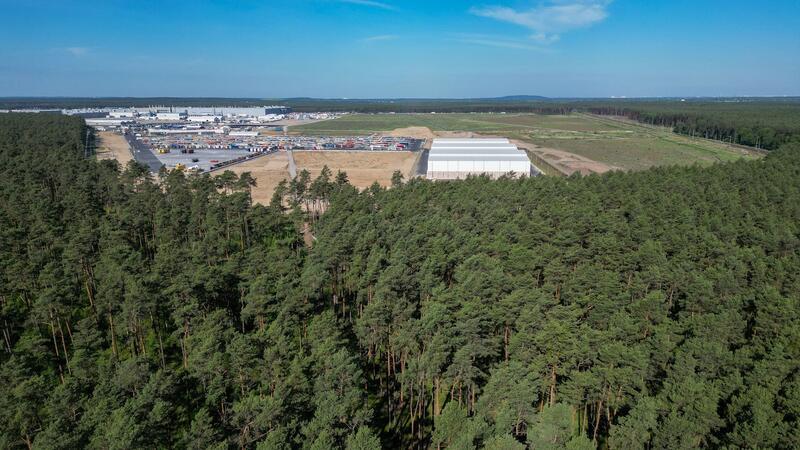 Dichter Wald steht am östlichen Teil des Werksgeländes der Tesla Gigafactory.