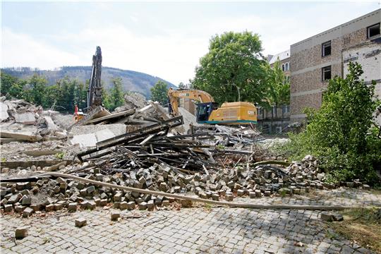 Die Abrissarbeiten im Pfalzquartier neigen sich dem Ende entgegen. Was im Anschluss gebaut wird, entscheidet sich letztlich auch durch ein Bürgerbegehren. Foto: Epping