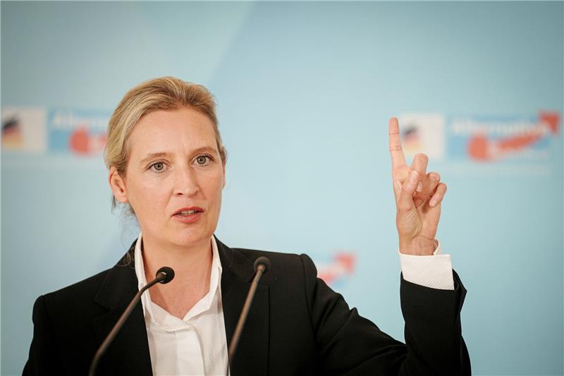 Weidel würde CDU-Minderheitsregierung unterstützen Die AfD-Bundesvorsitzende Alice Weidel würde mit der CDU zusammenarbeiten.