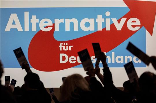 Die AfD erlebt derzeit einen Umfrage-Höhenflug.