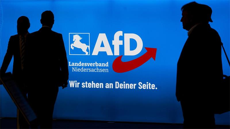 Die AfD in Niedersachsen wird vom Verfassungsschutz als gesichert rechtsextremistisch eingestuft. (Archivbild)