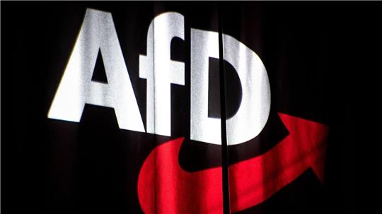 Die AfD sieht in einem Zuschuss für deutsche Kinder einen Anreiz zur Familienplanung. (Archivbild)