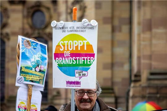 Die AfD war für viele Demonstranten Protestziel Nummer eins.