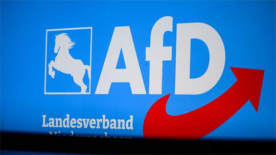 Die AfD war mit drei Kandidaten in den Stichwahlen vertreten. (Archivbild)