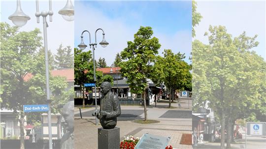 Die Ahorn-Allee an der Rathausstraße ist so manchem Anlieger ein Dorn im Auge. Die Stadtverwaltung will sie trotzdem stehen lassen. Foto: Epping