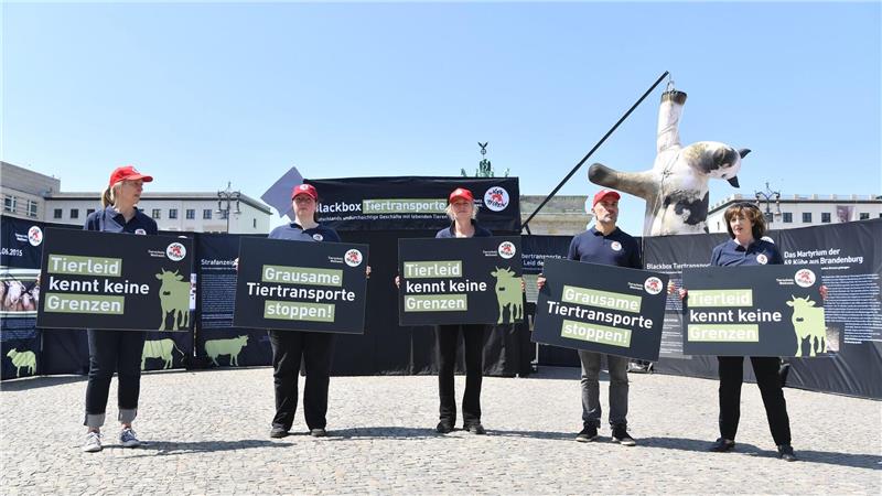 Die Aktivisten bezeichnen manche Tiertransporte als „Horrorfahrten“.
